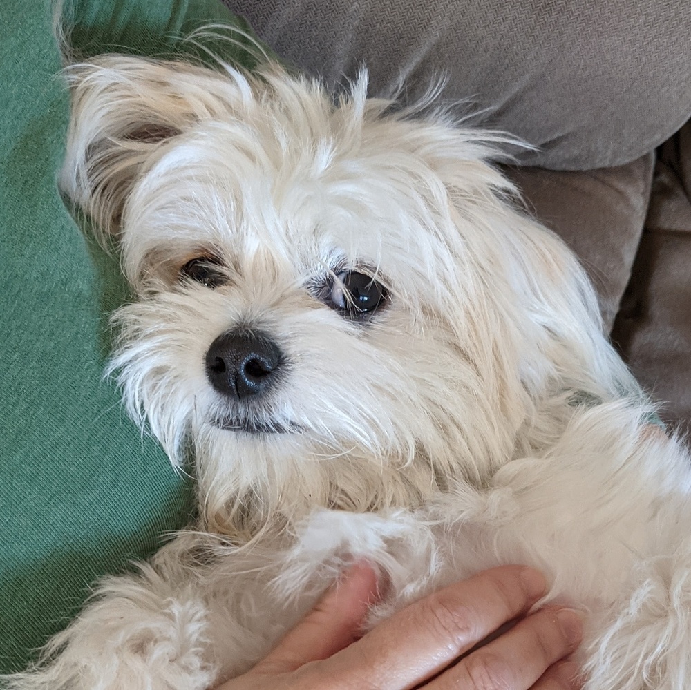 Meet your Posher, Mb